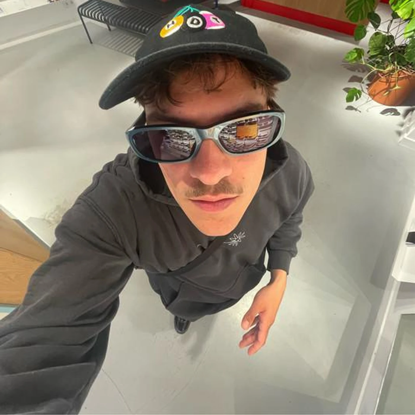 MC WINDHUND Brand Page