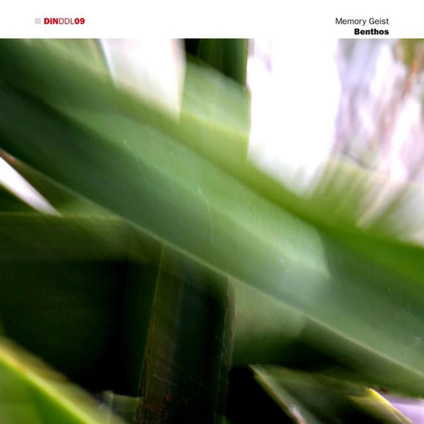 Memory Geist Brand Page