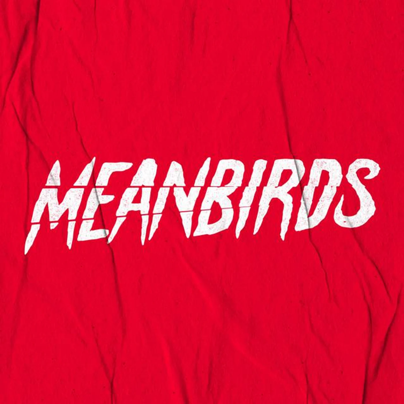 Meanbirds Brand Page