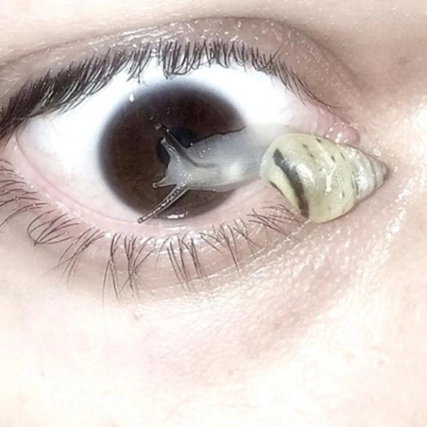 Medici Daughter Brand Page