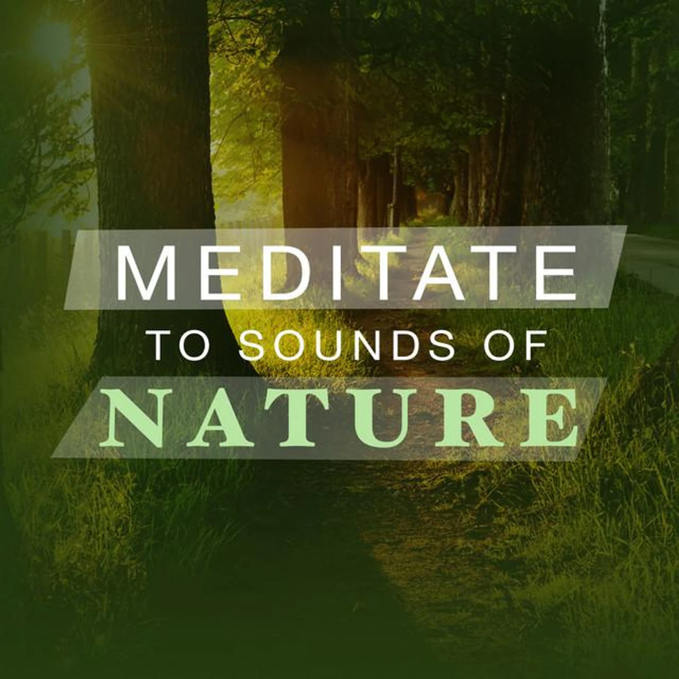 Meditate to Sounds of Nature