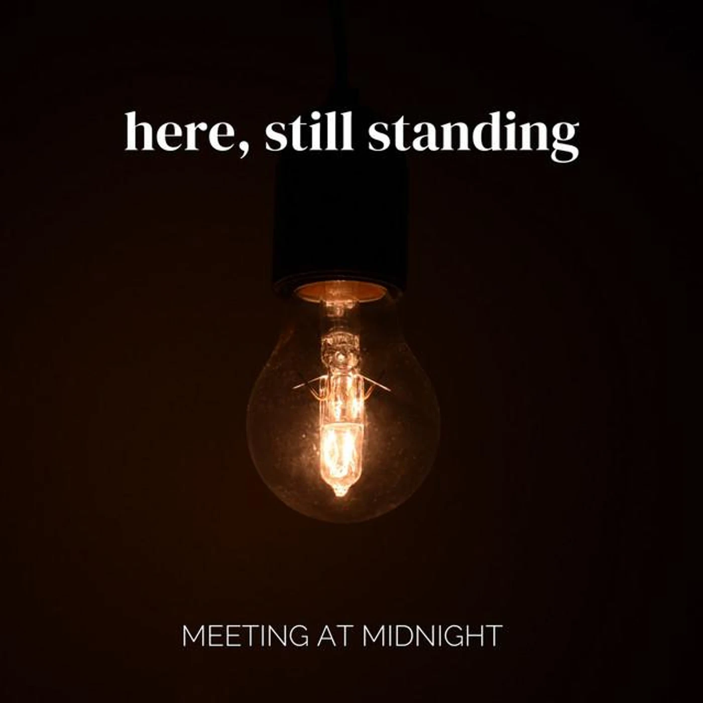 Meeting At Midnight Brand Page