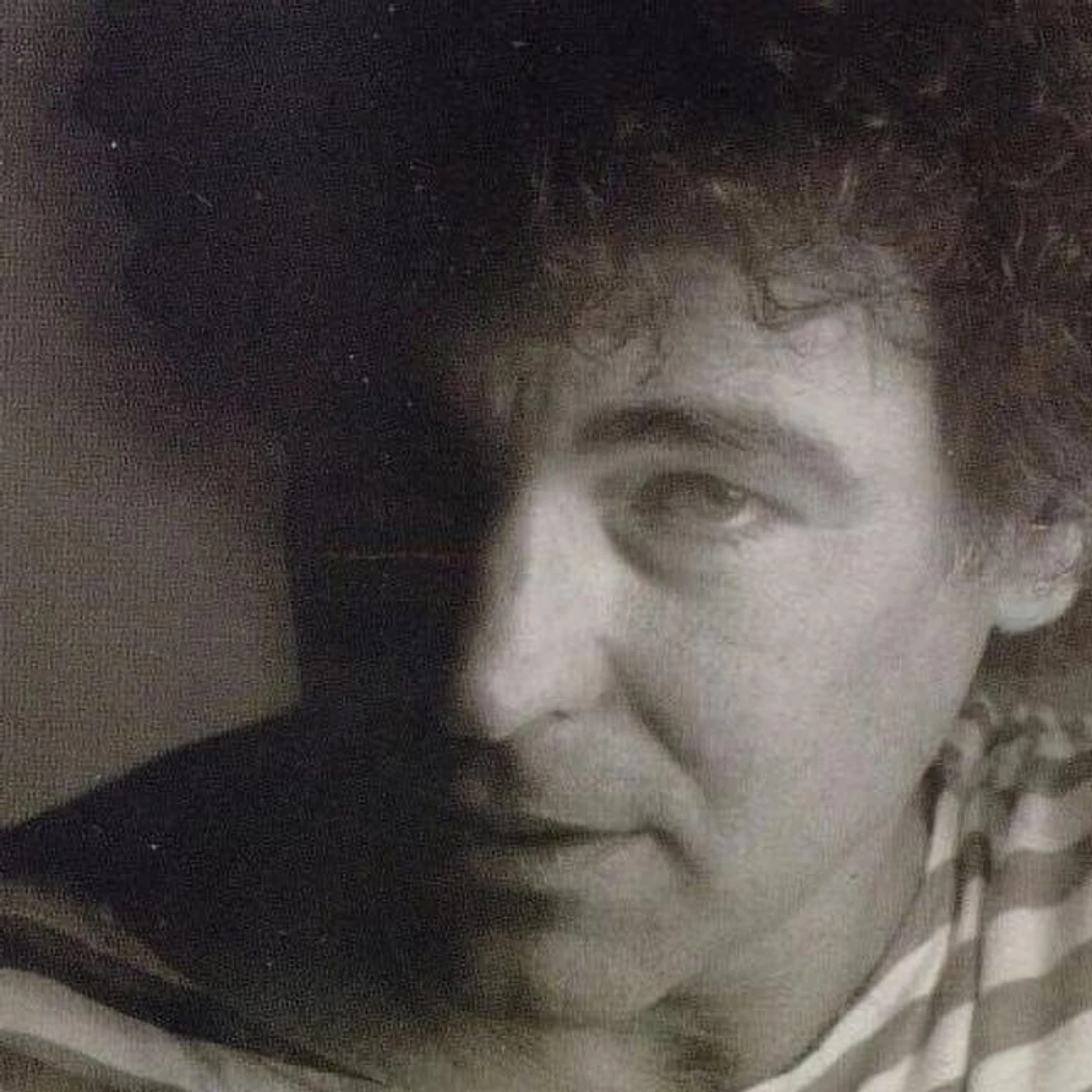 Meir Ariel Brand Page