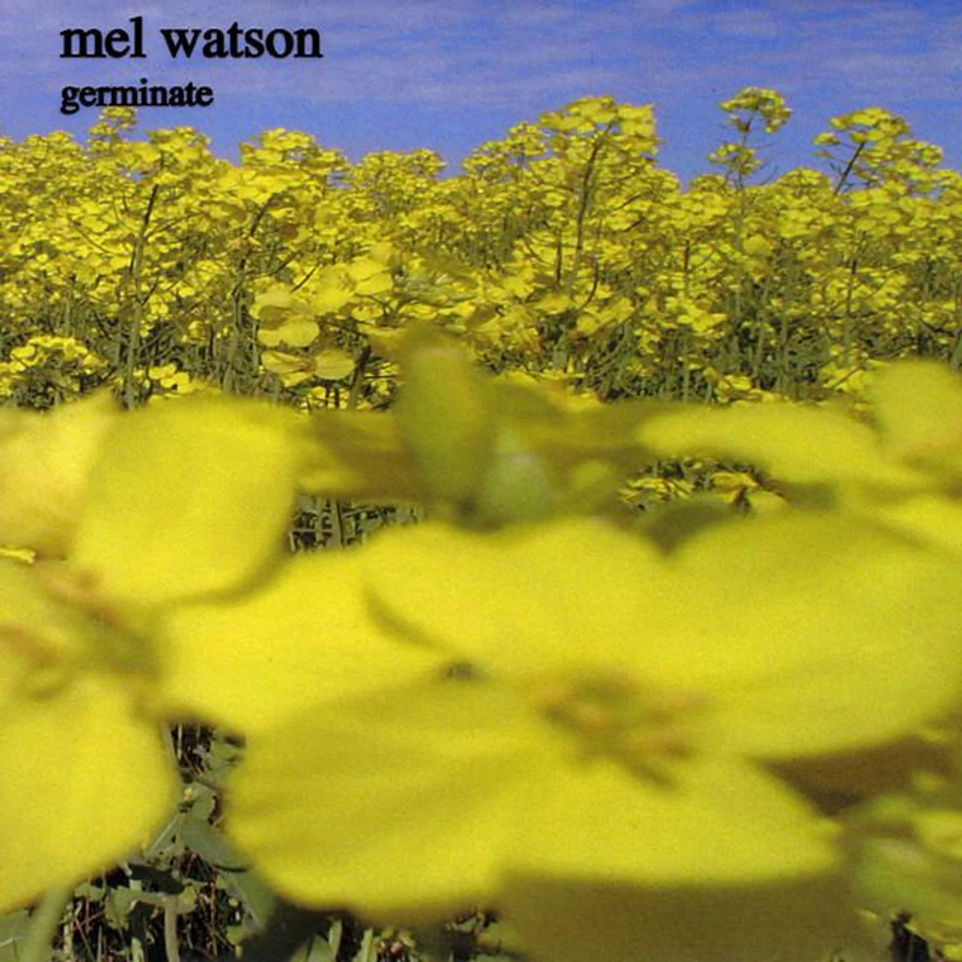 Mel Watson Brand Page