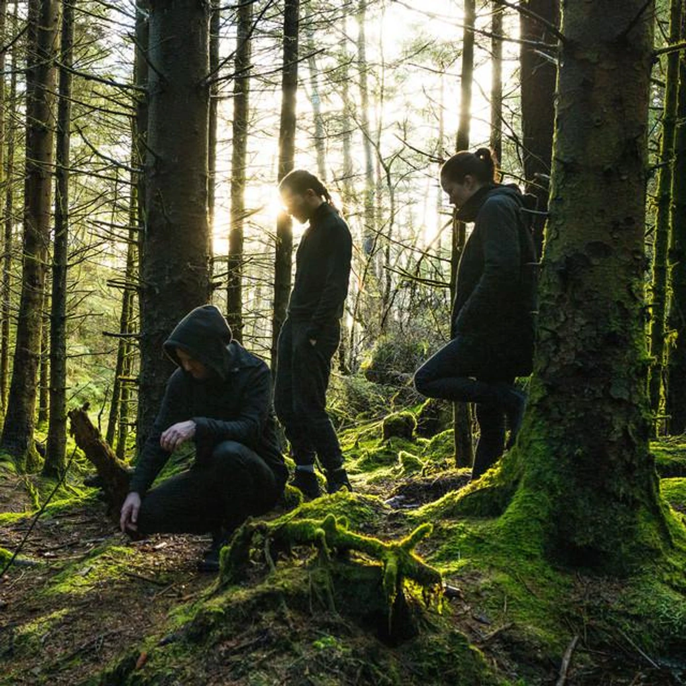 Melt Motif Brand Page