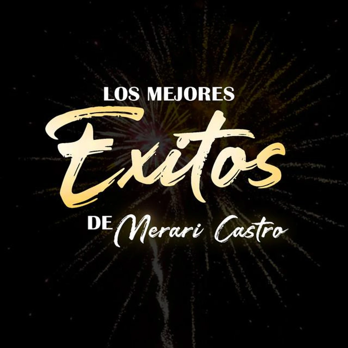 Merari Castro Brand Page