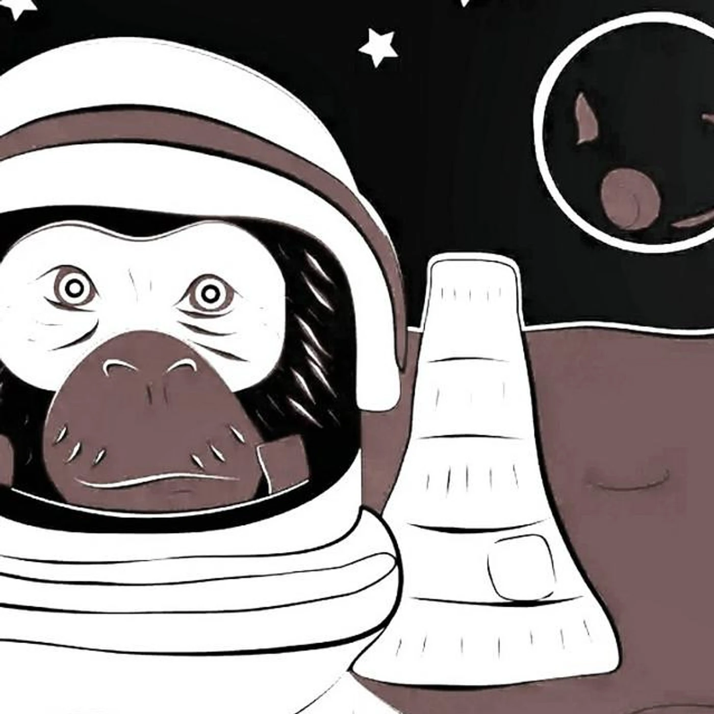 Mercury Monkeys Brand Page