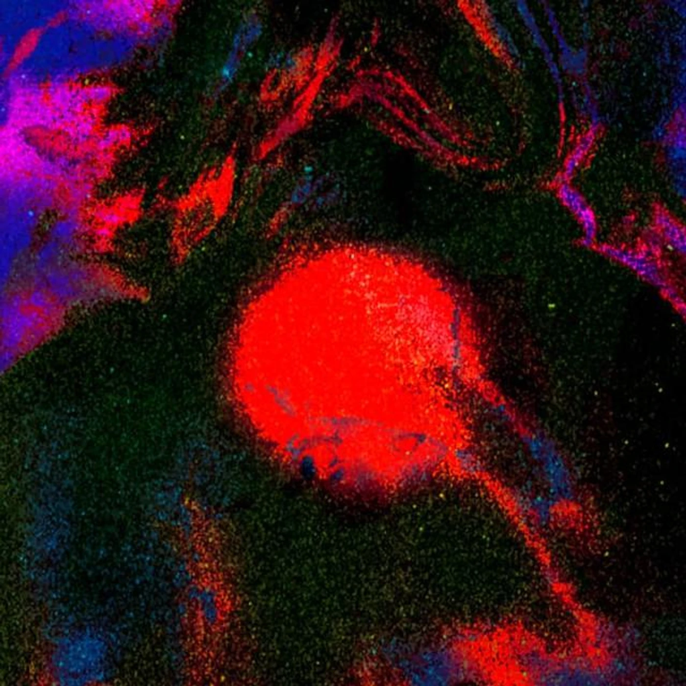 Mi Primo Fosforescente Brand Page