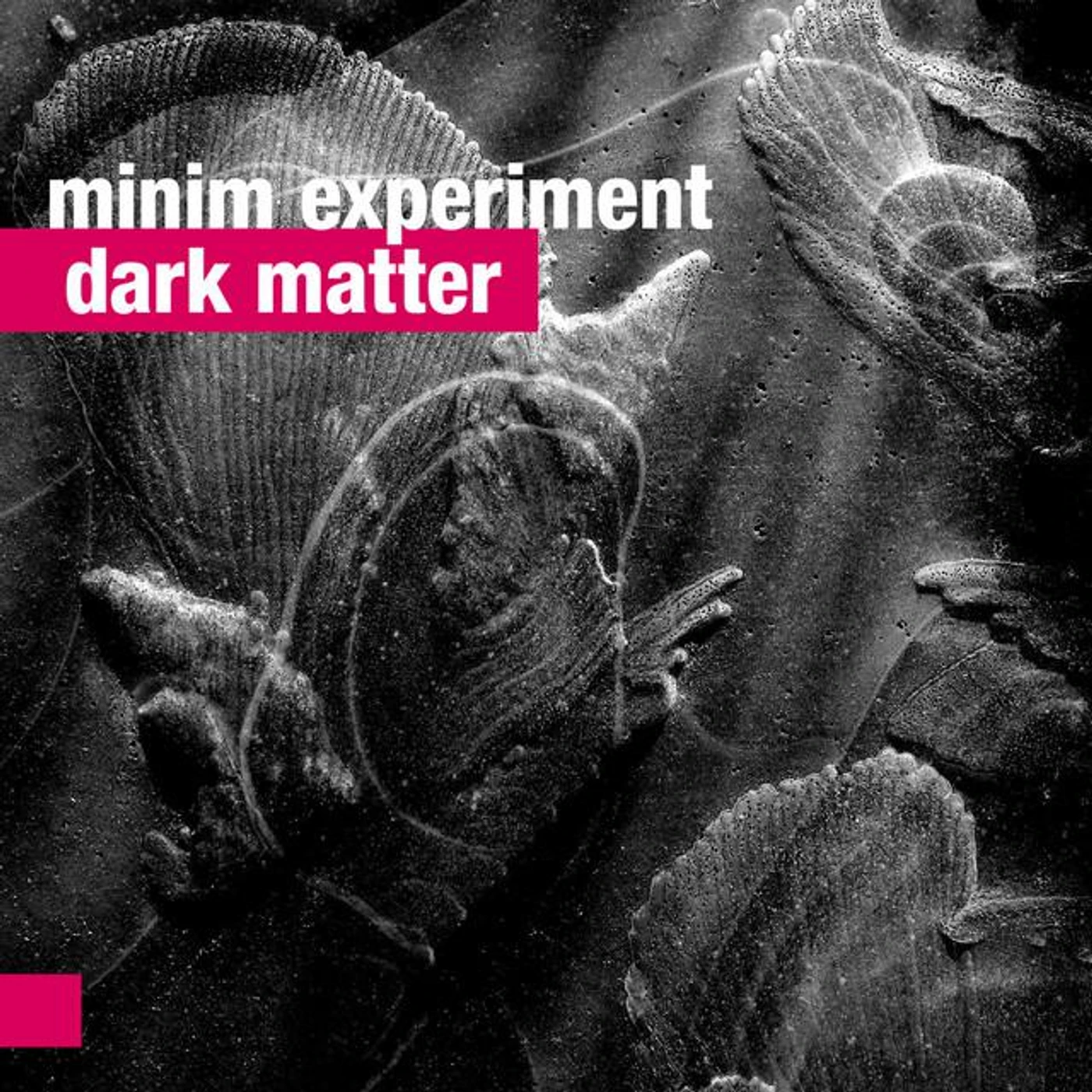 Minim Experiment Brand Page
