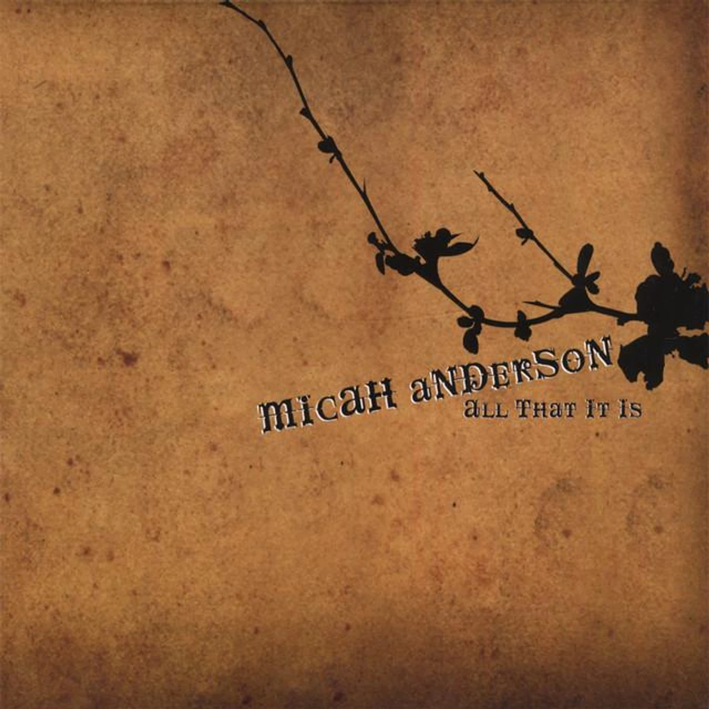 Micah Anderson Brand Page