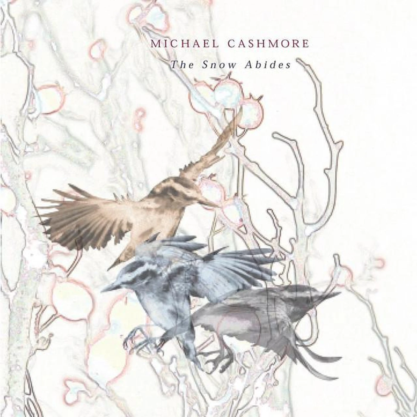 Michael Cashmore Brand Page