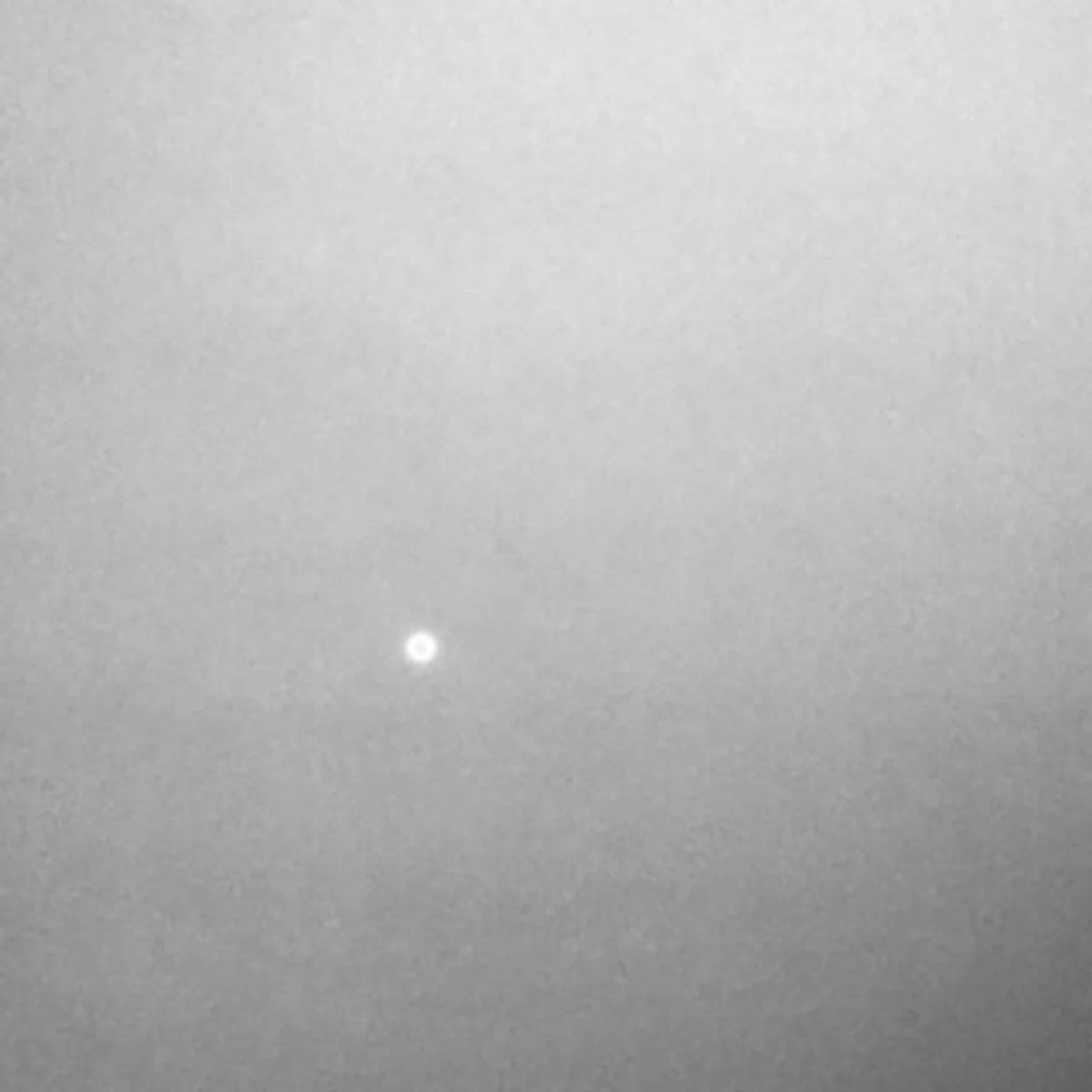 Miguel Ángel Tolosa