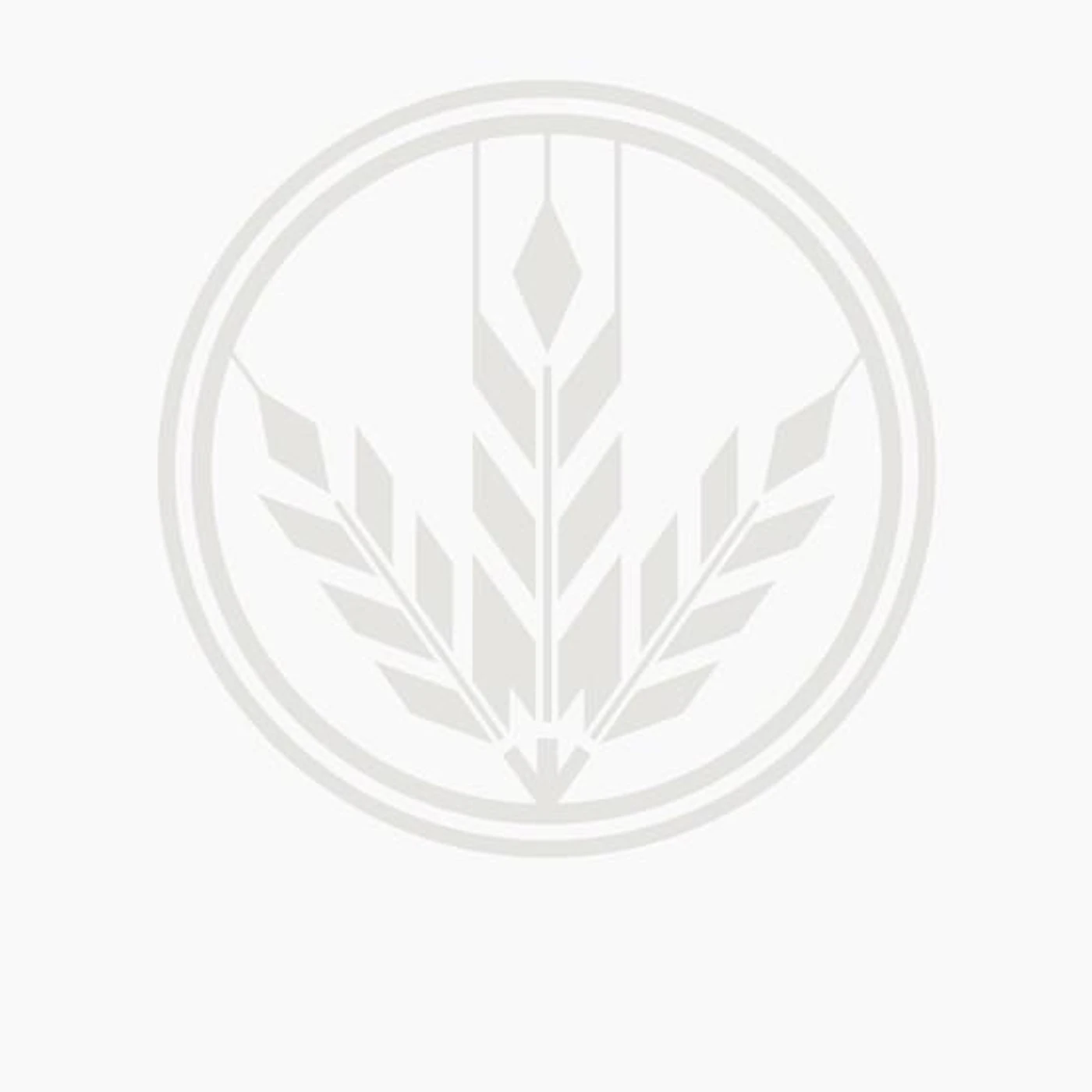 Mike Orange Brand Page