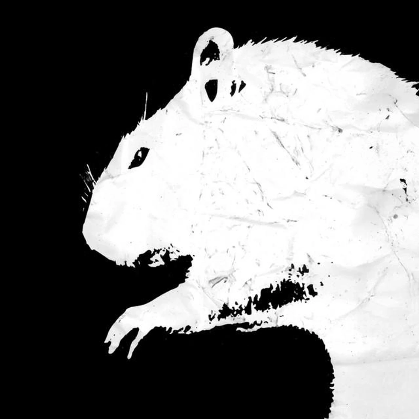 Mike V & The Rats Brand Page