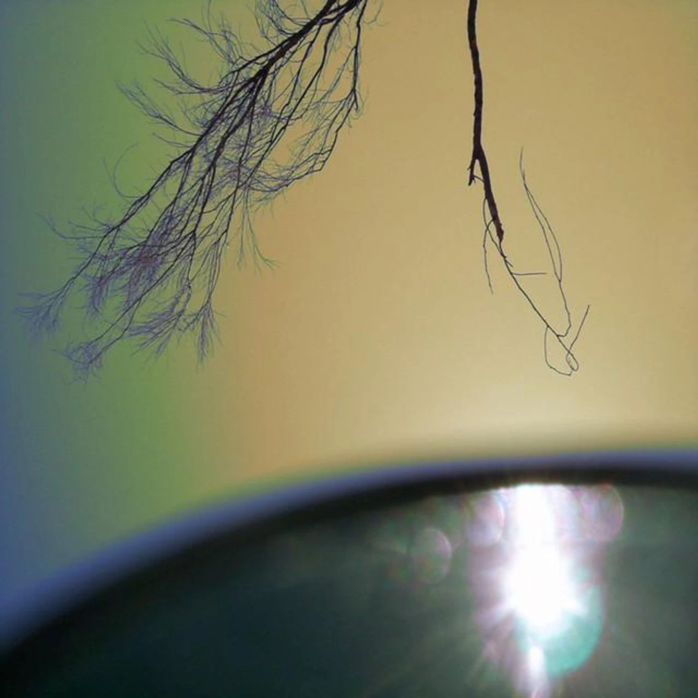 Mike VanPortfleet