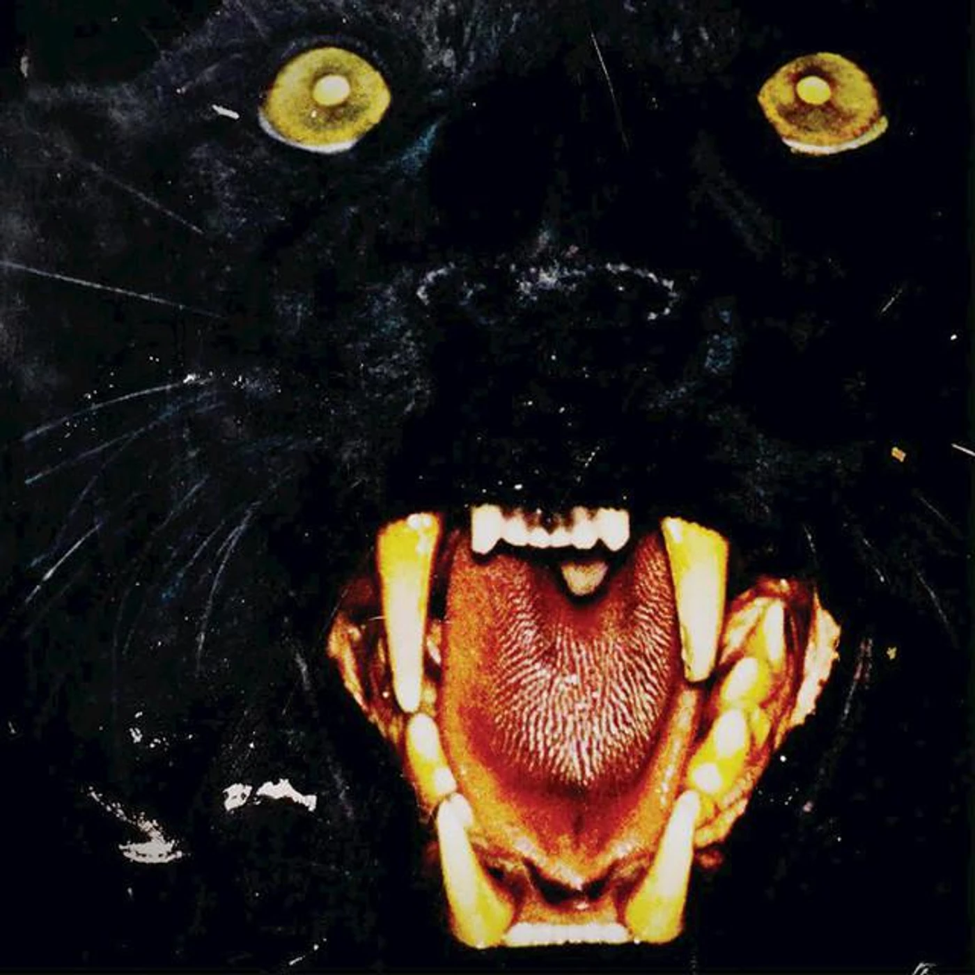 Mikrowaves Brand Page