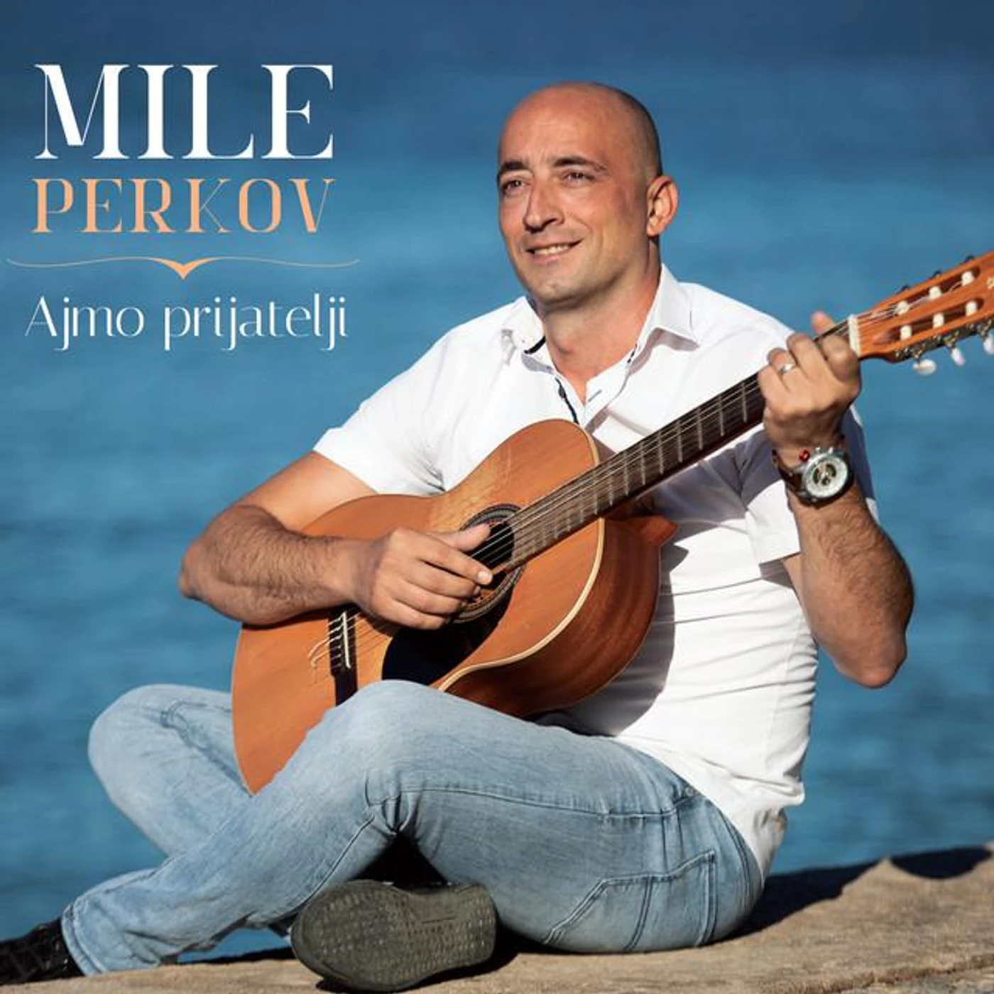 Mile Perkov Brand Page
