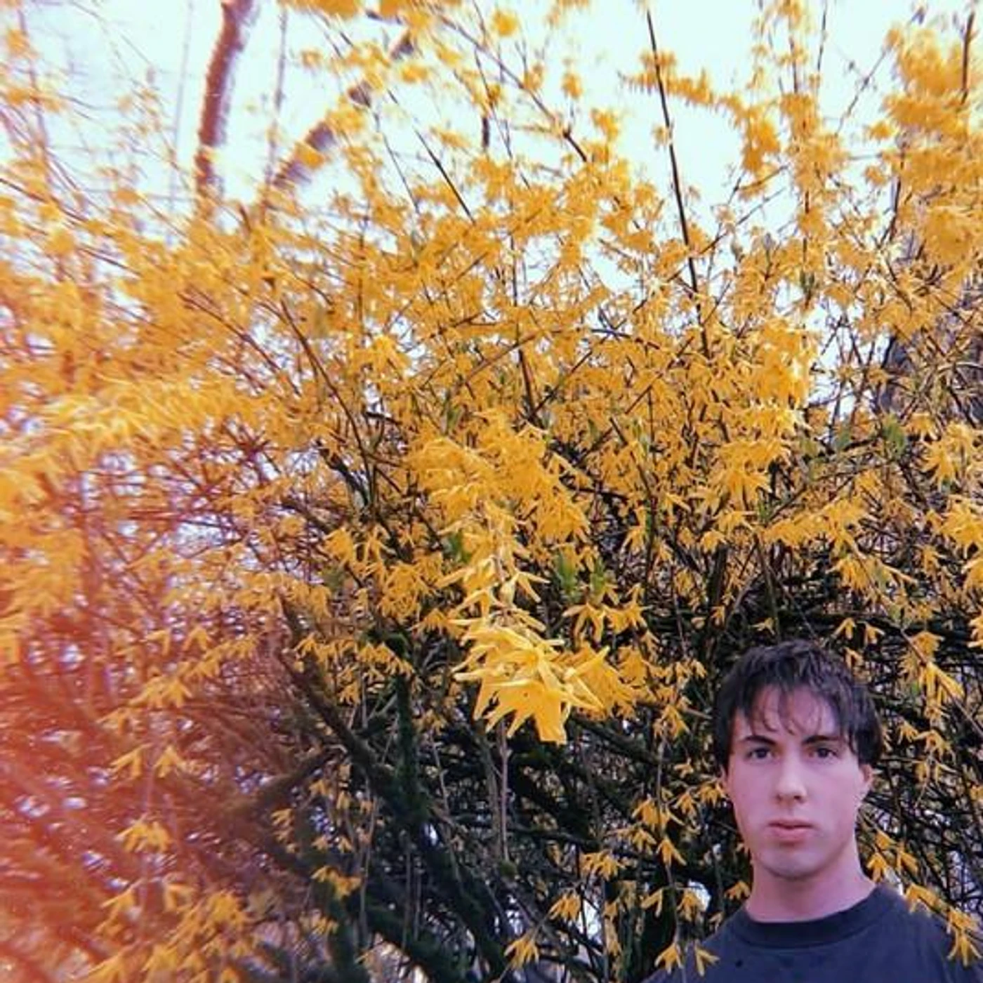 Mist Double Brand Page