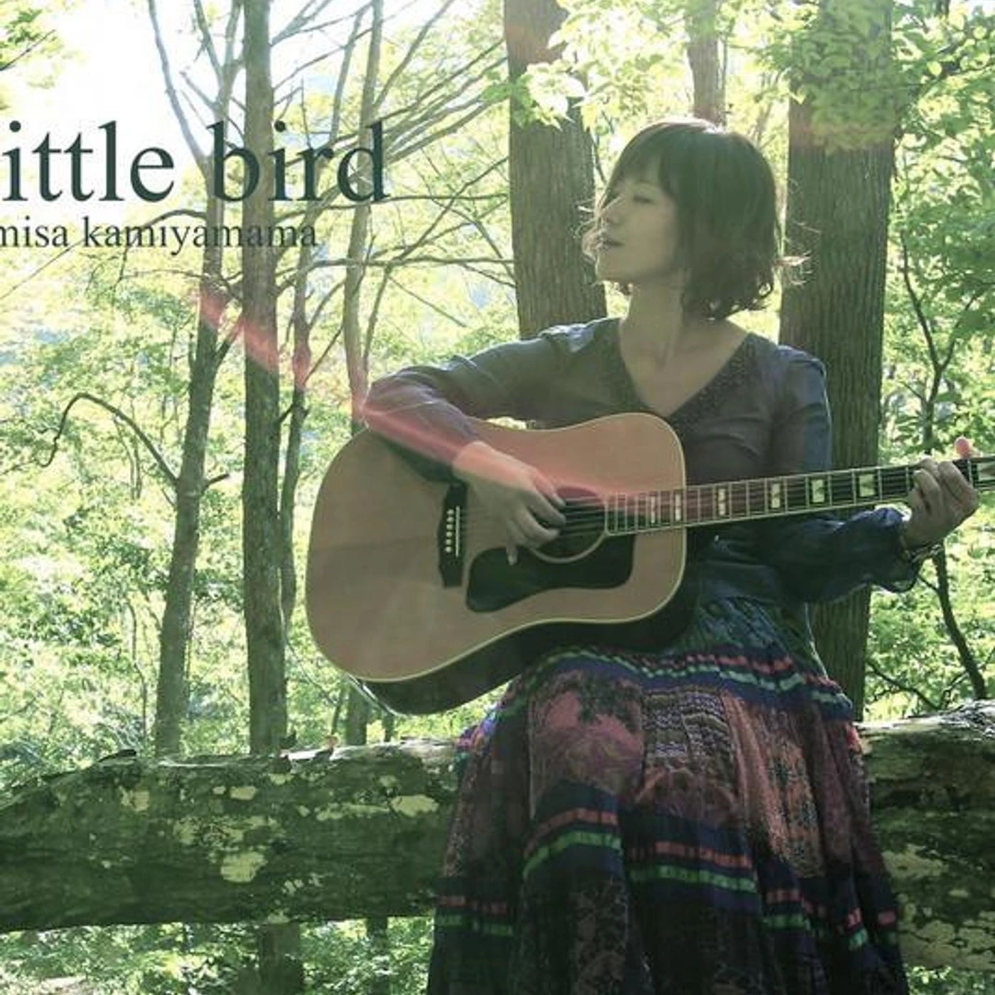 Misa Kamiyama Brand Page