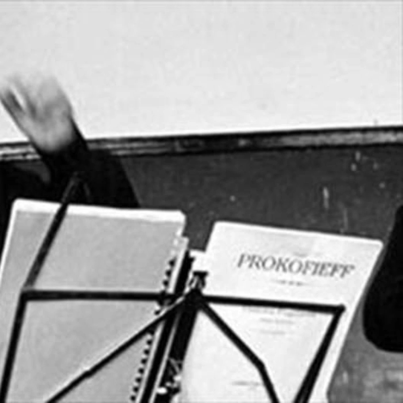 Misha Rachlevsky Brand Page