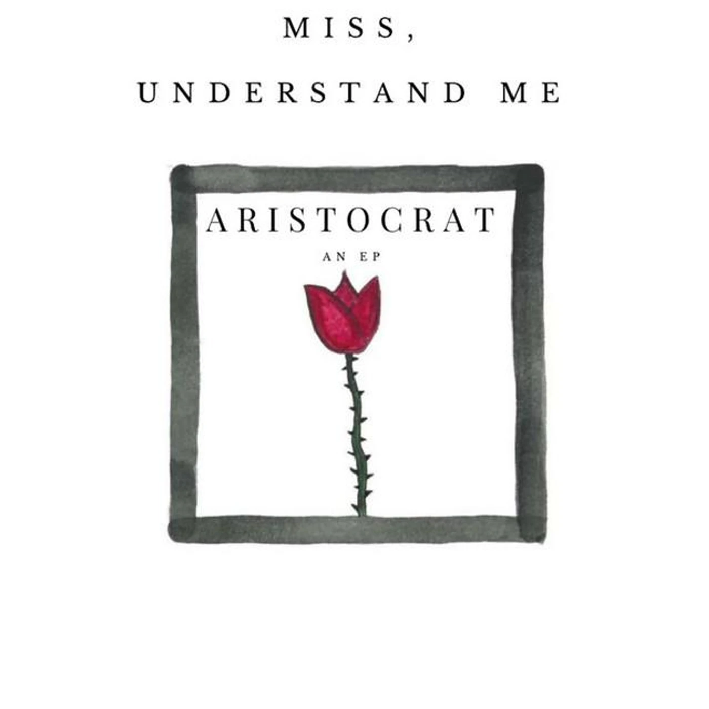 Miss, Understand Me