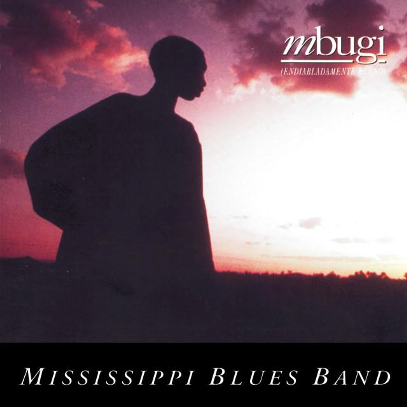 Mississippi Blues Band Brand Page