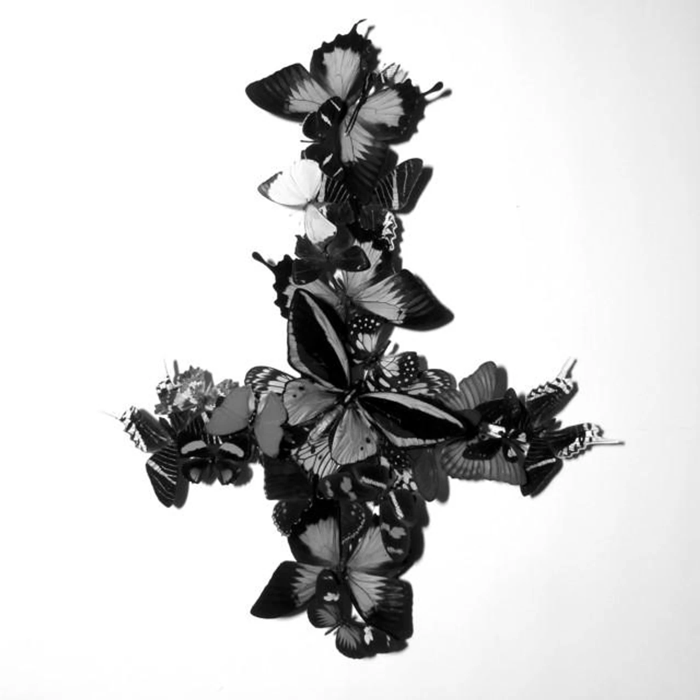 Monarch! Brand Page