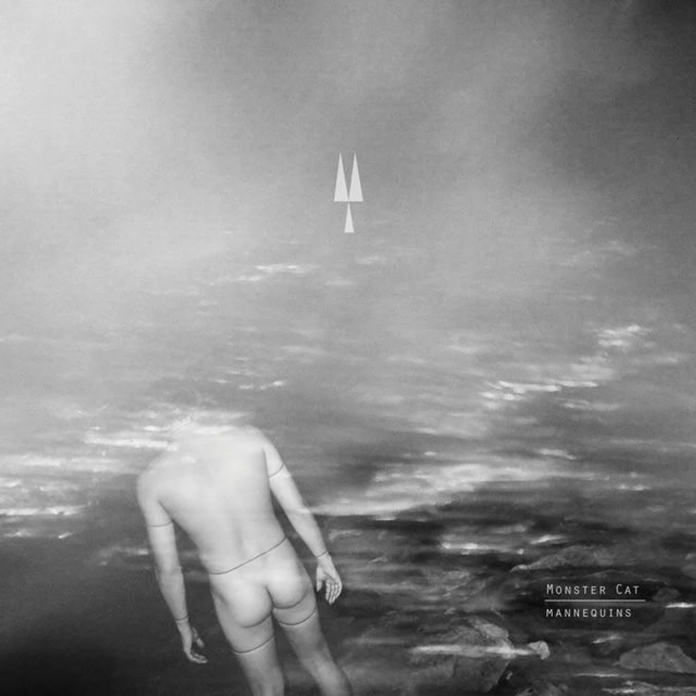 MONSTER CAT Brand Page