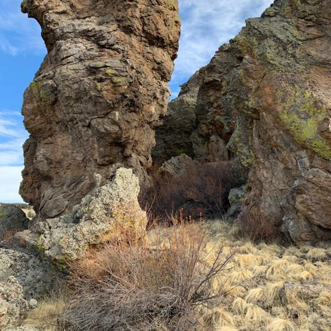 Mob Device Brand Page