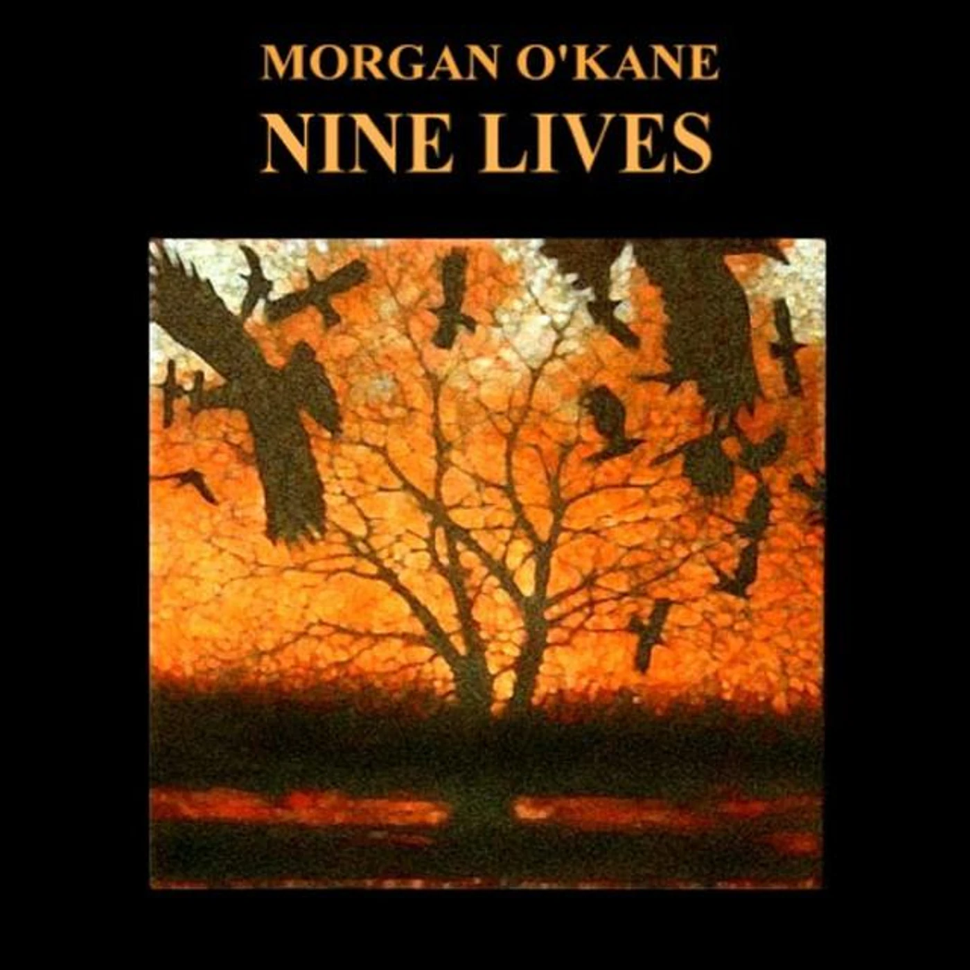 MORGAN O'KANE Brand Page
