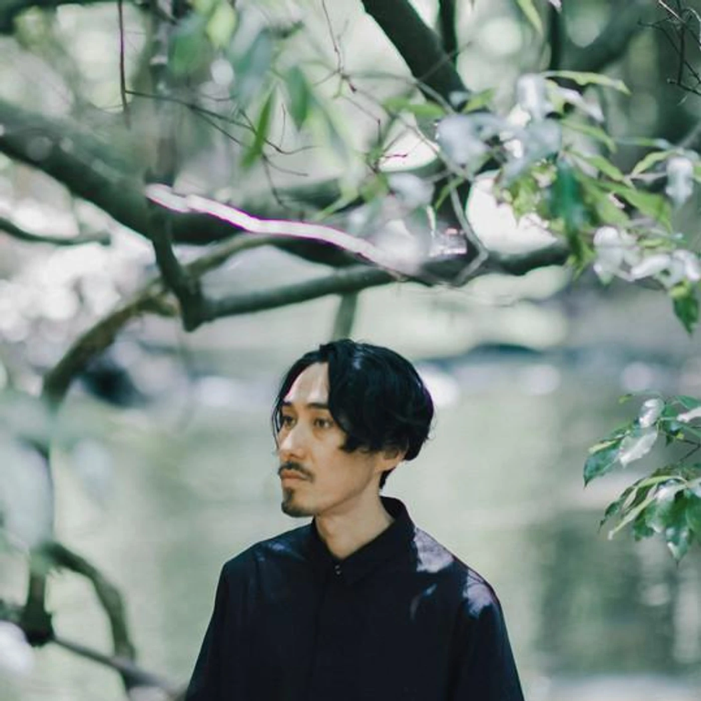 Moshimoss Brand Page