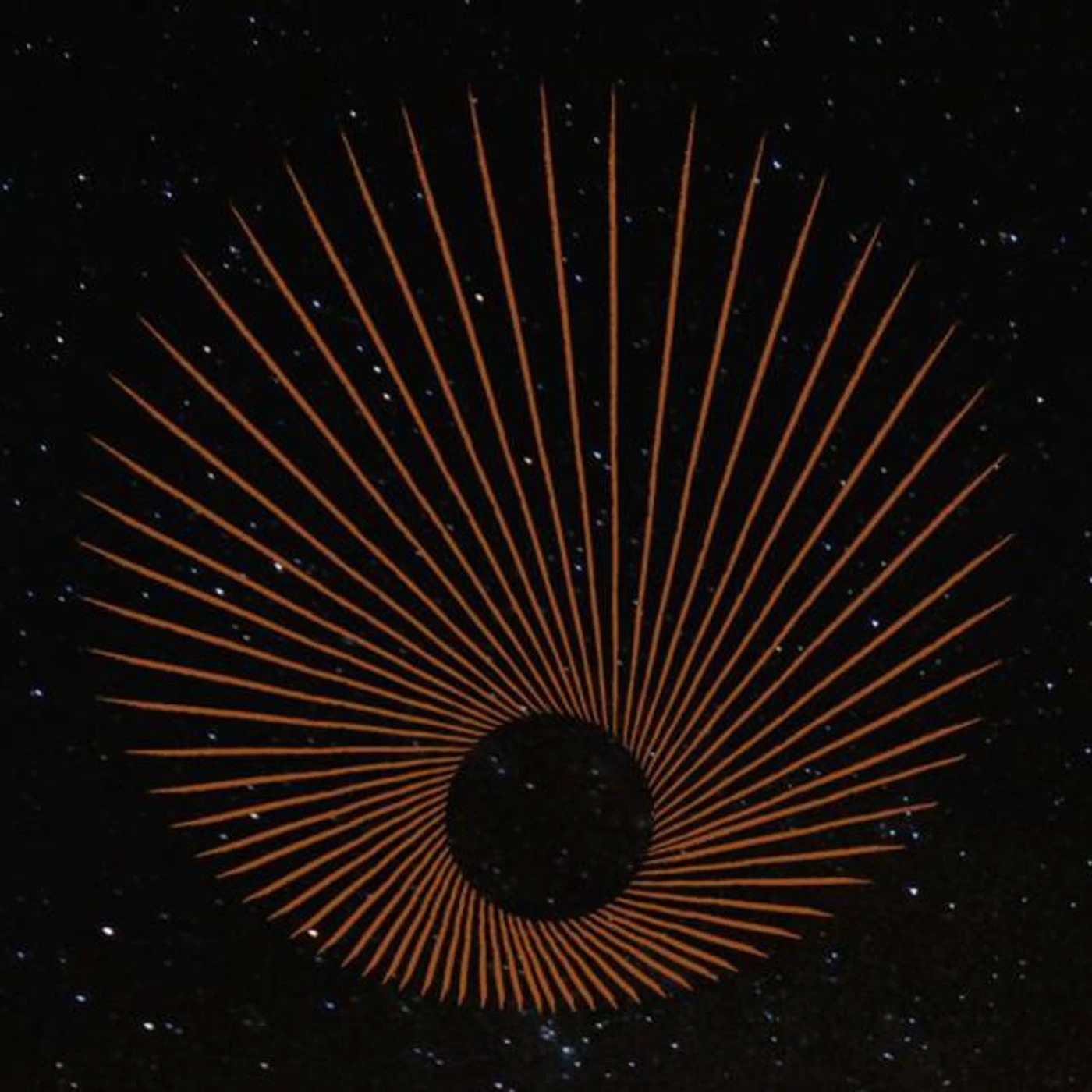 The Motion Orchestra Brand Page