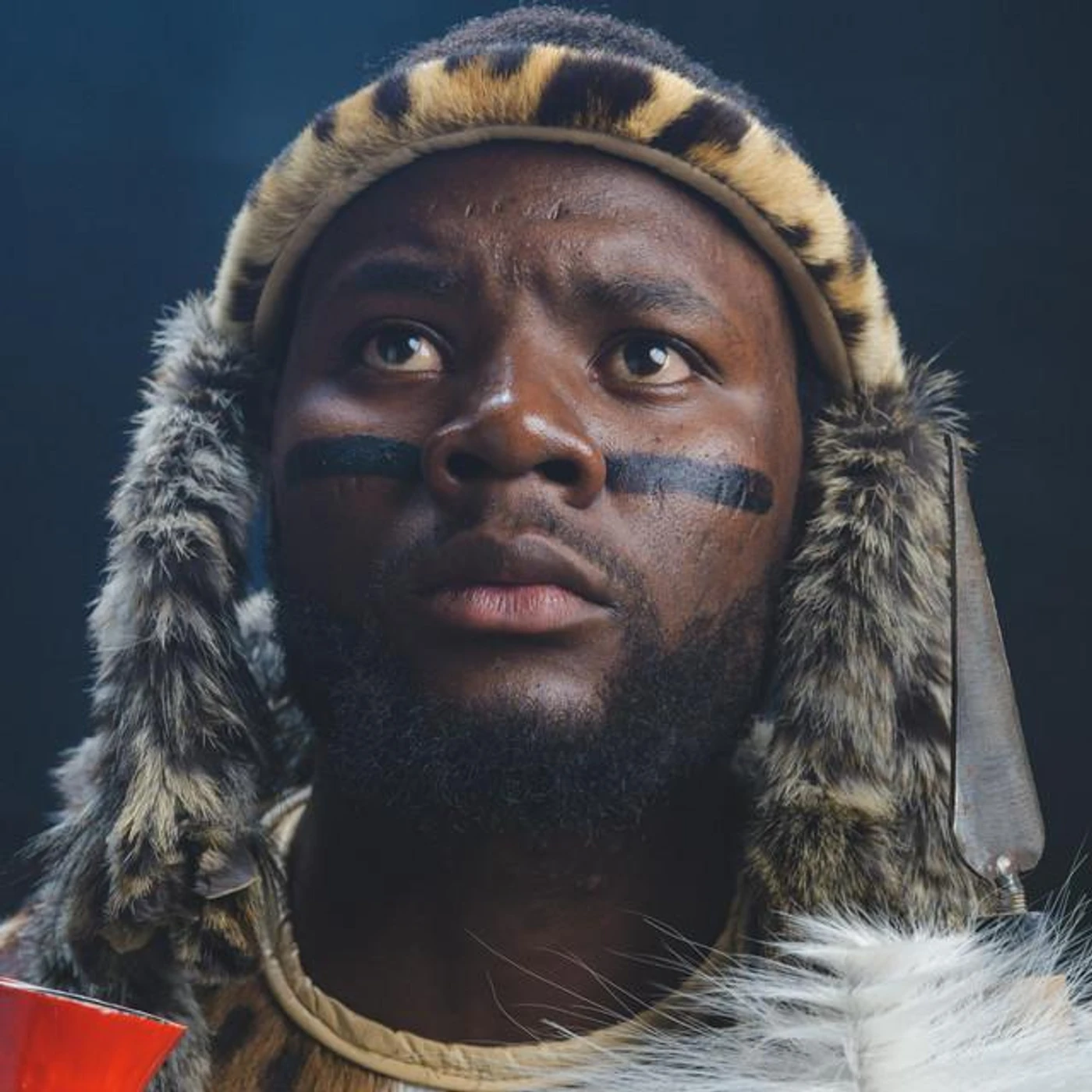 Mr Double D2 Brand Page