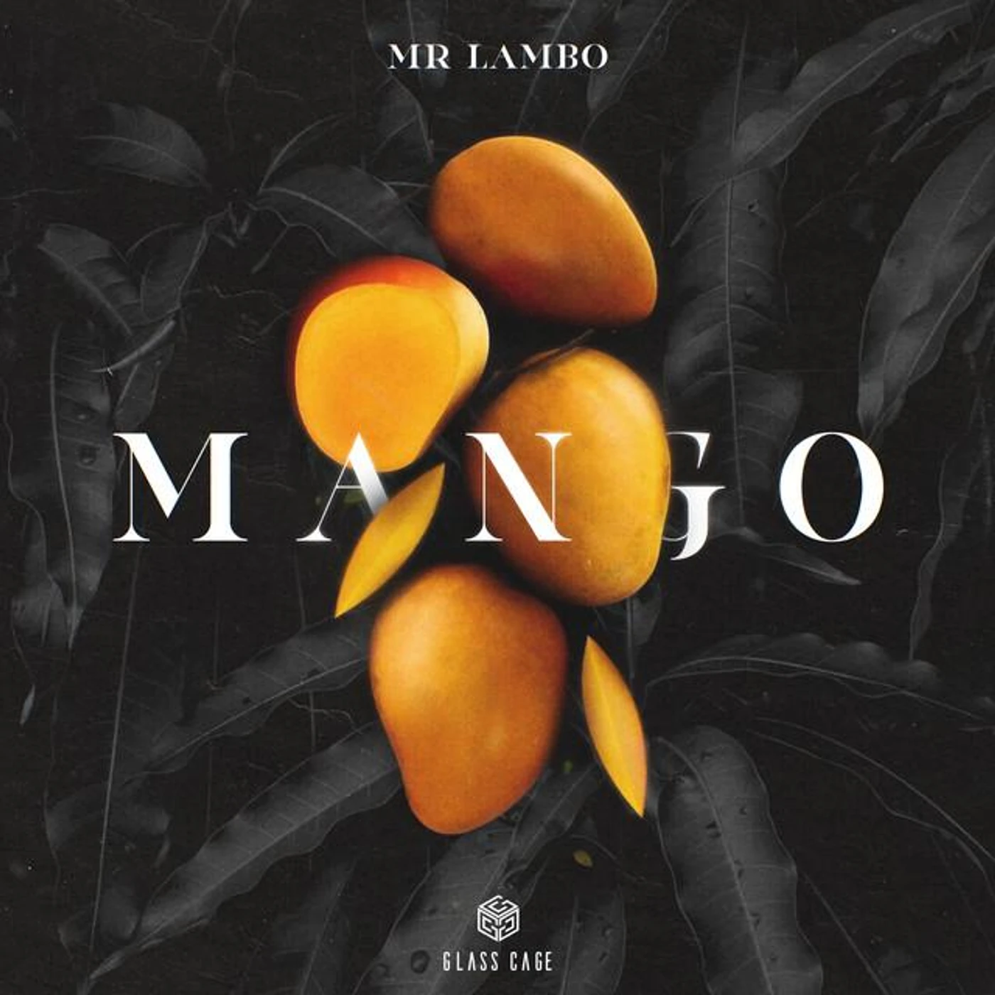 Mr Lambo Brand Page