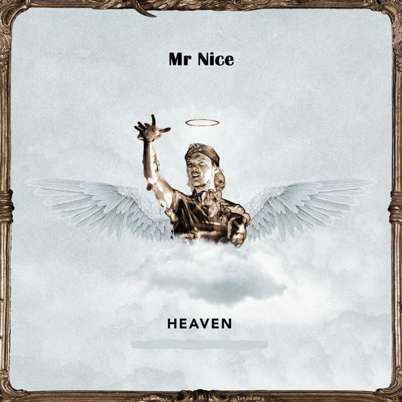 Mr Nice