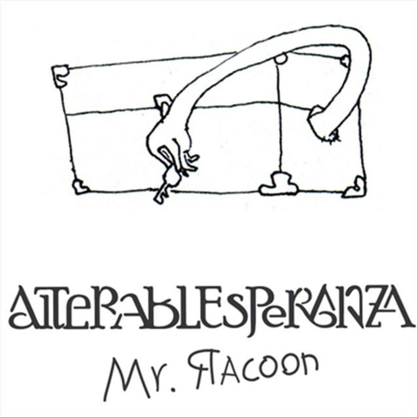 Mr Racoon