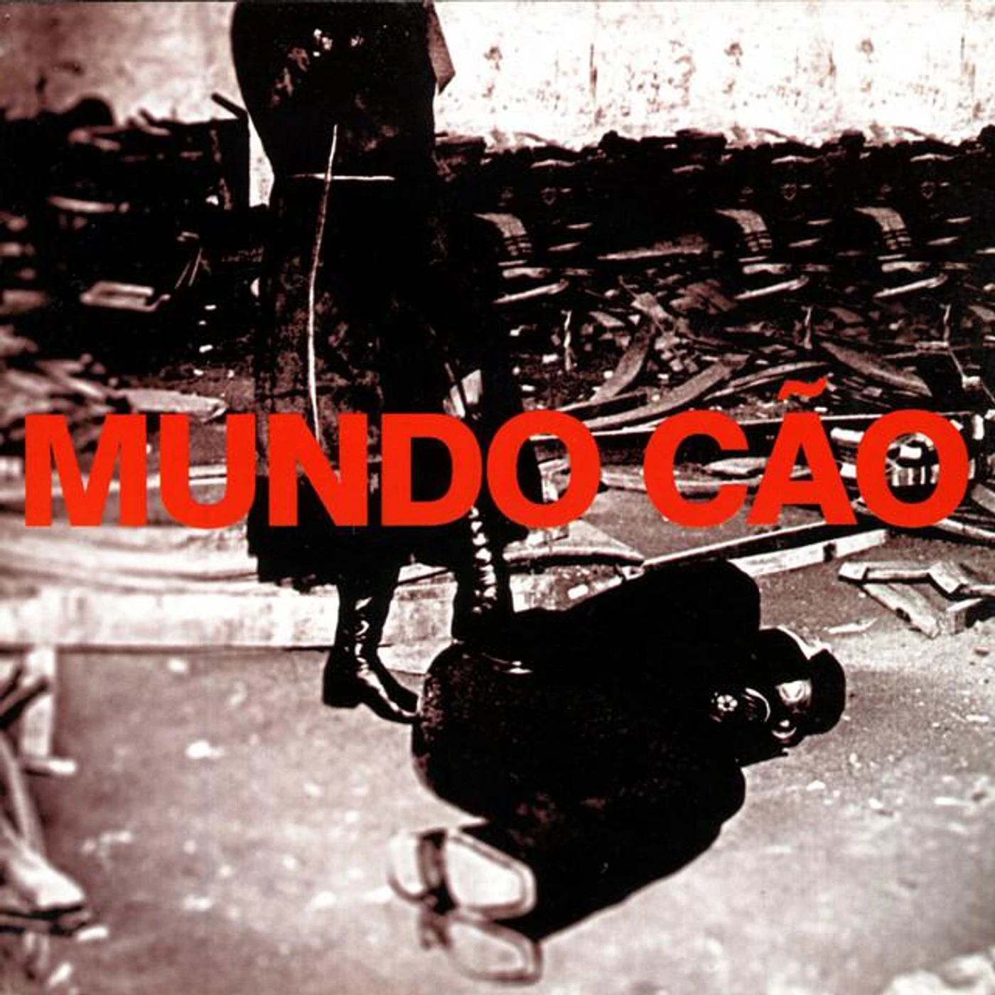 Mundo Cão Brand Page