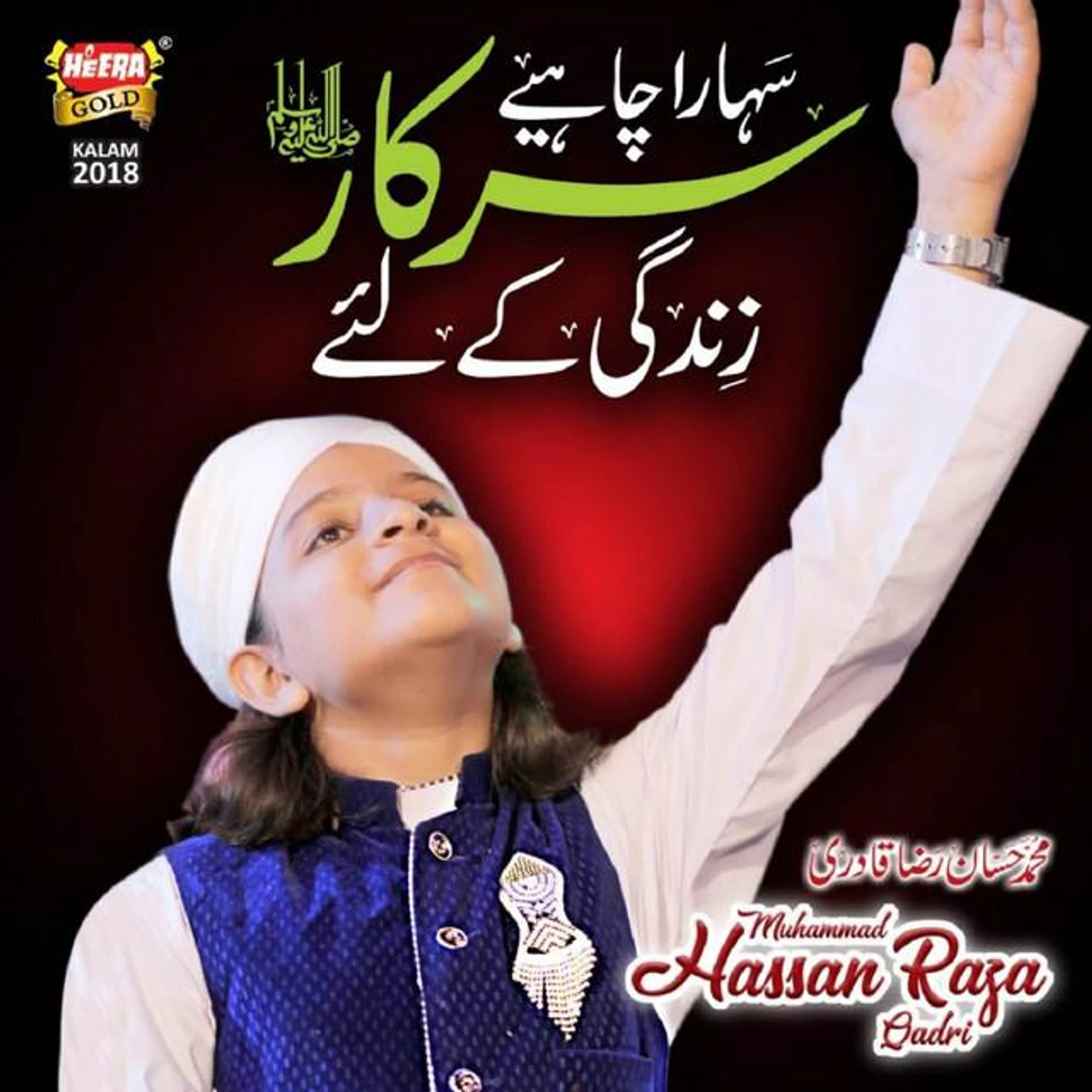 Muhammad Hassan Raza Qadri