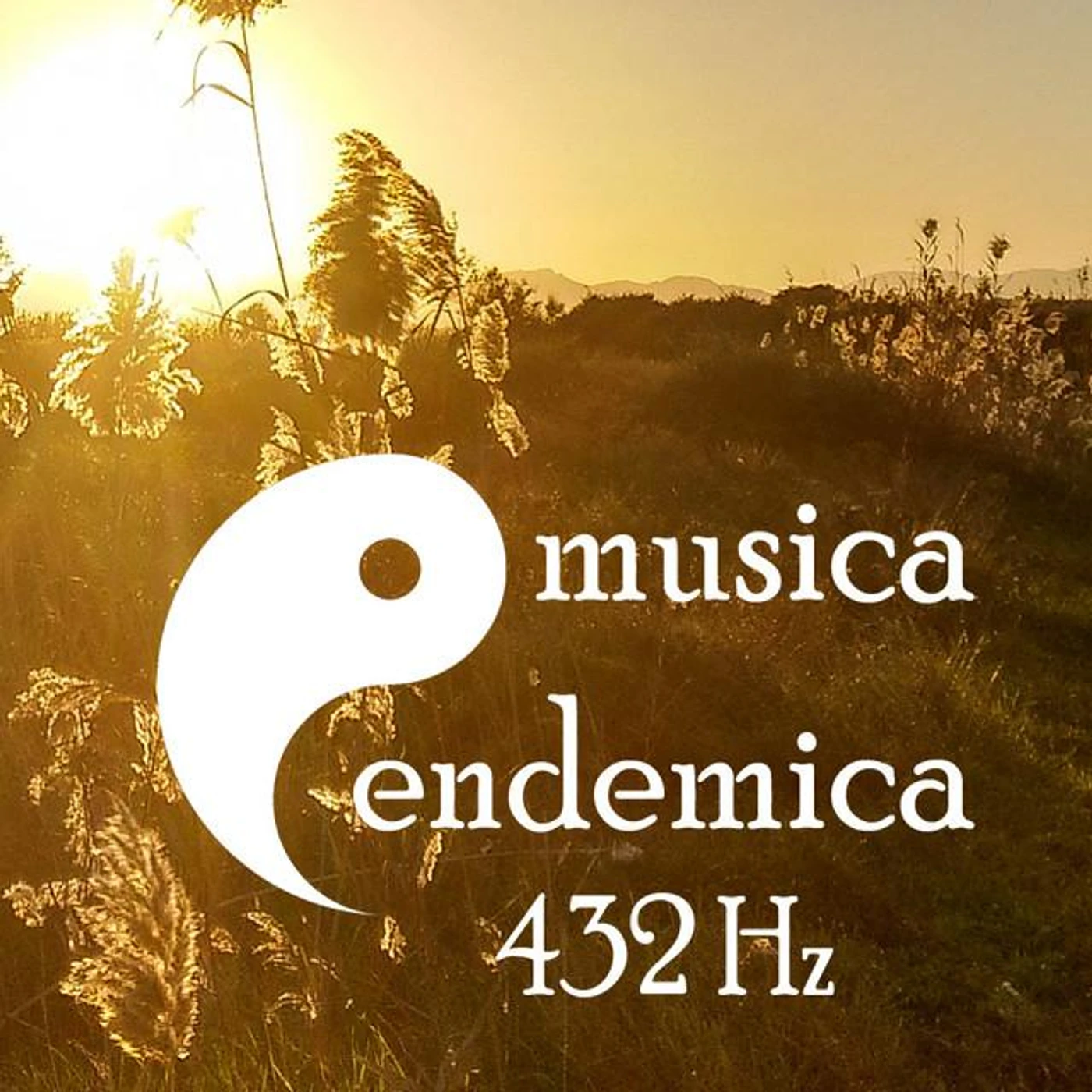 Musica Endemica 432 Hz Brand Page