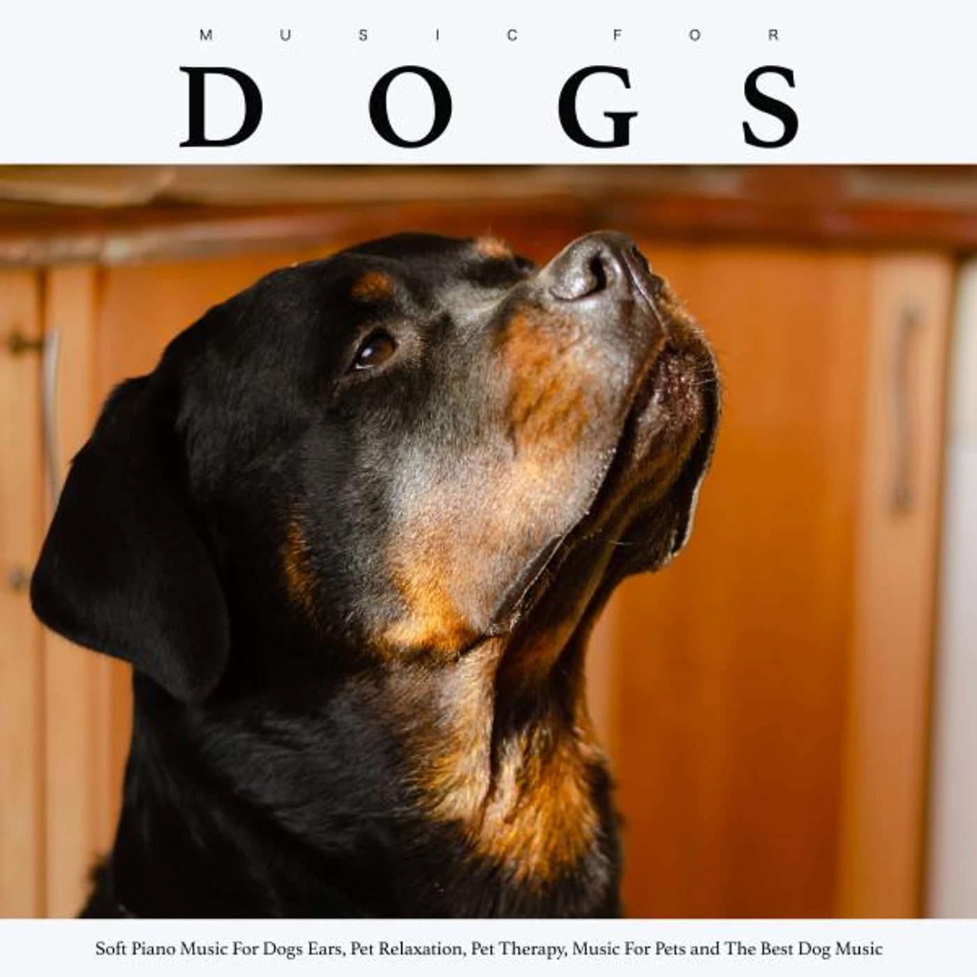 Music for Dog's Ears