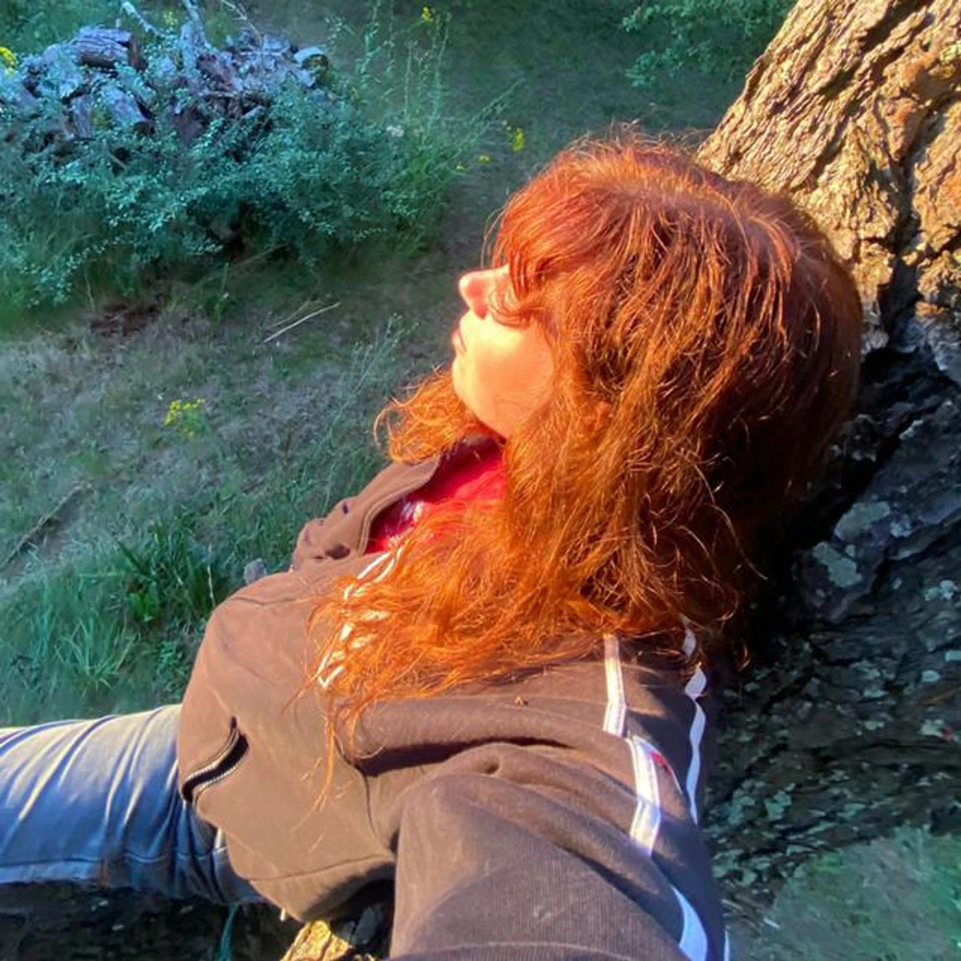 Musique Chienne Brand Page