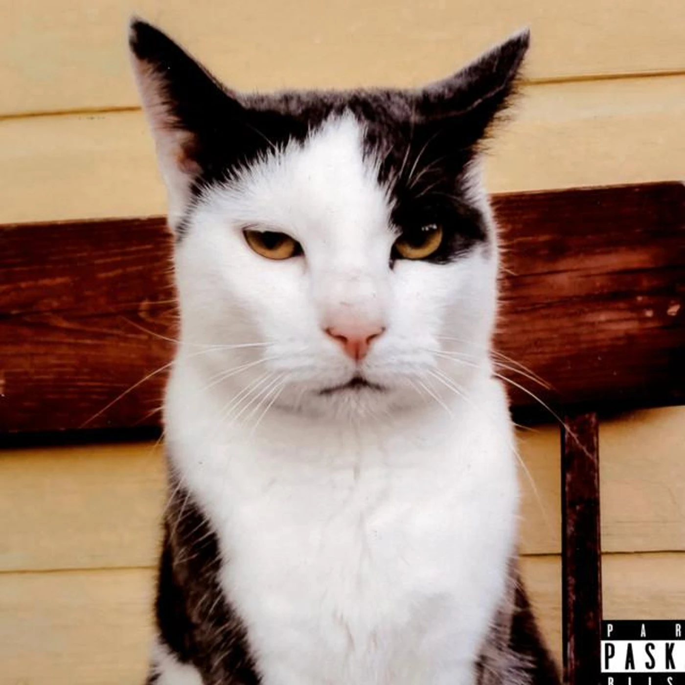 Muuan mies Brand Page