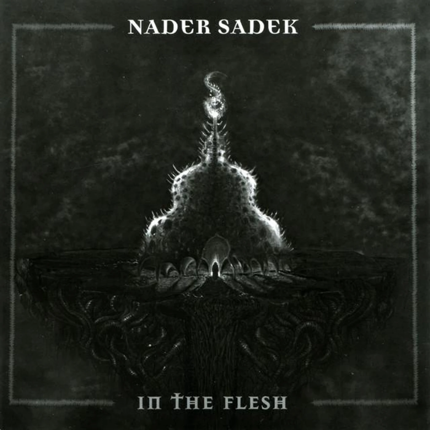 Nader Sadek