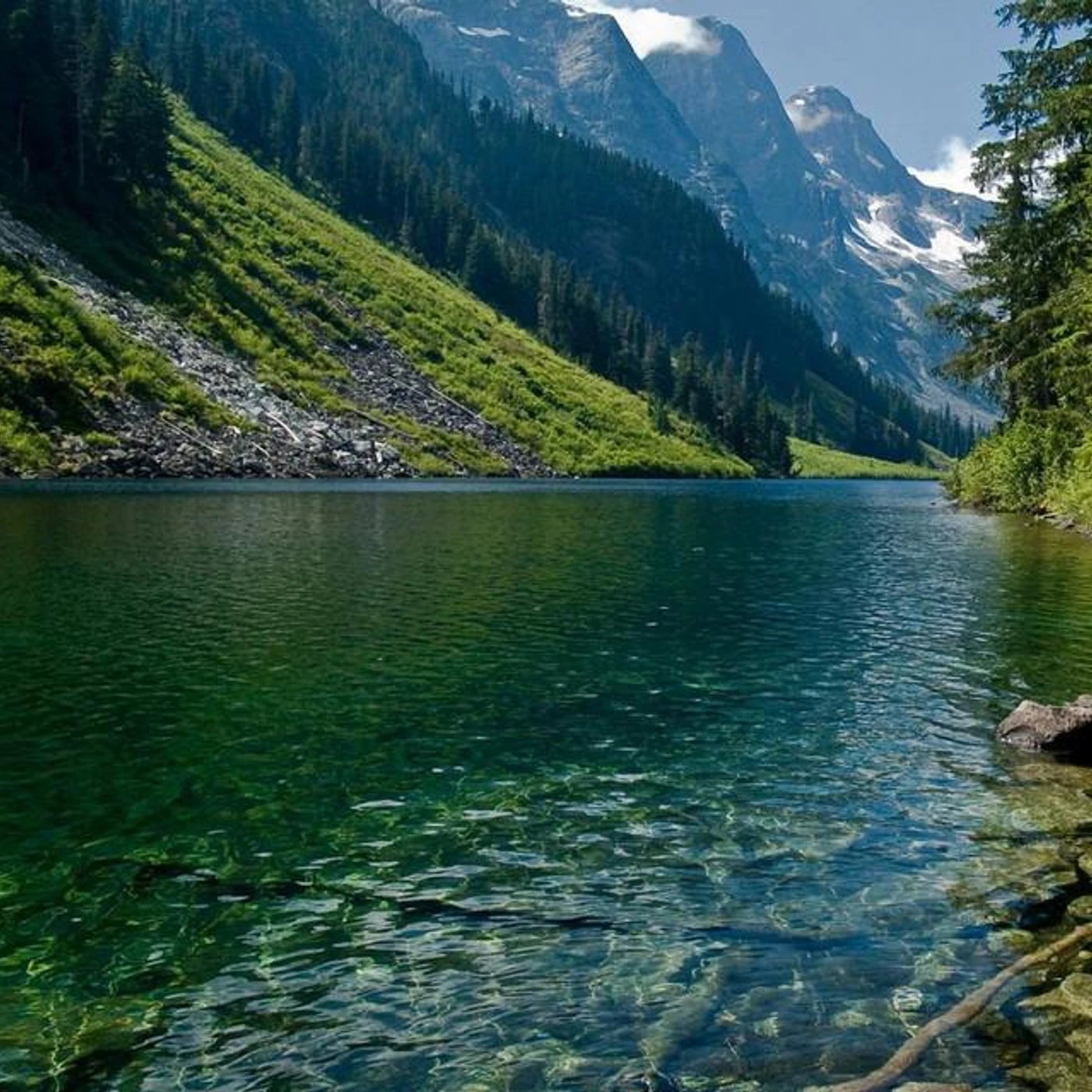 Nature Sounds Nature Music Brand Page