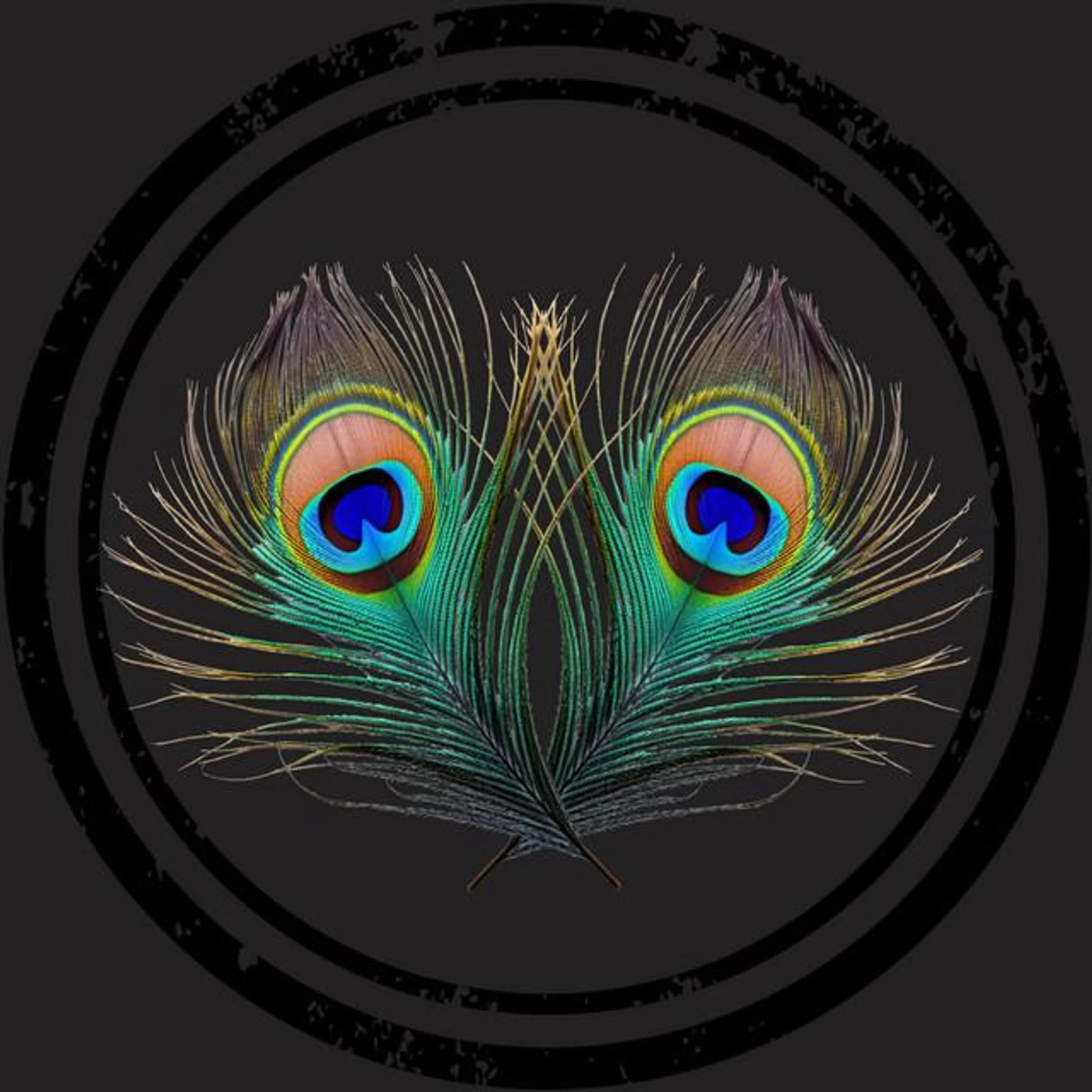 Nato (FR) Brand Page