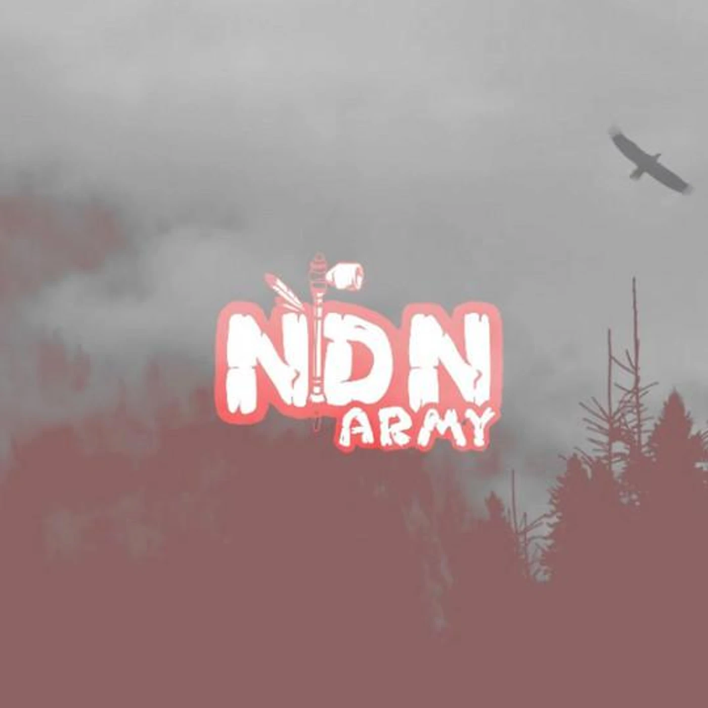 NDN Army