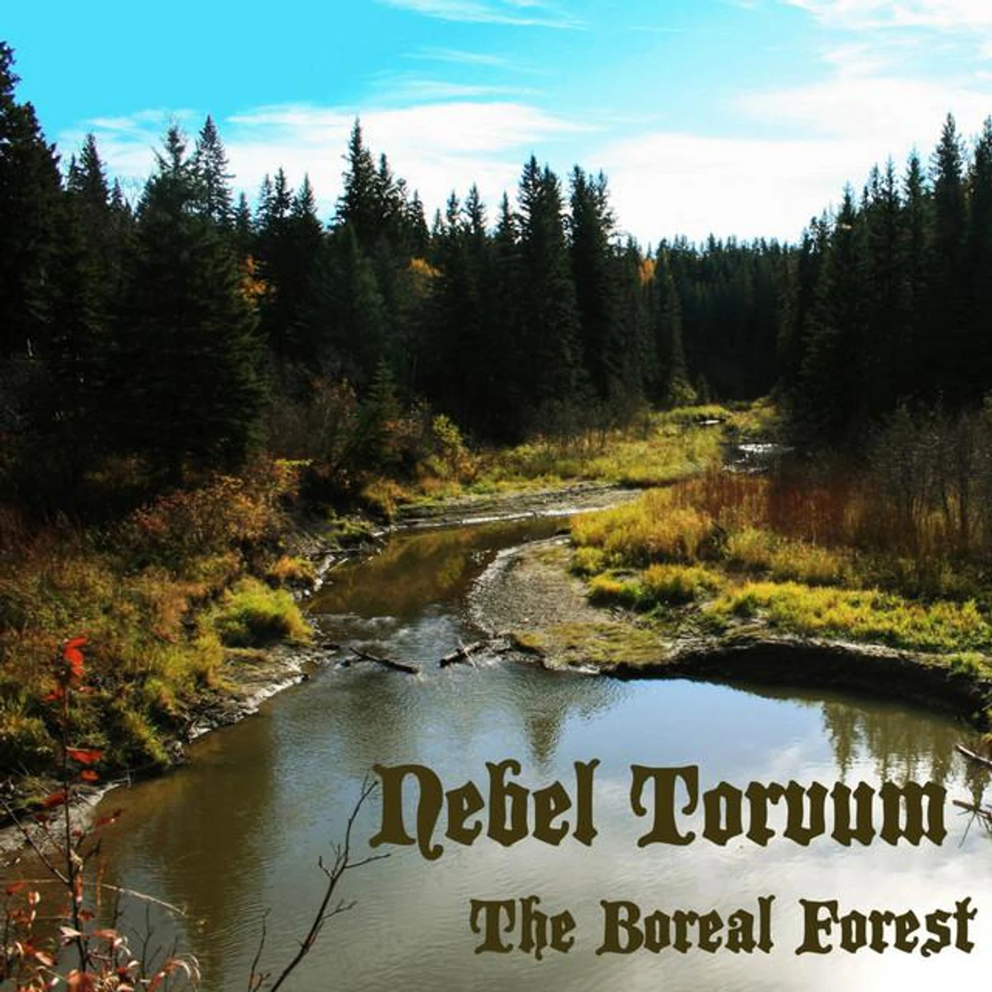 Nebel Torvum