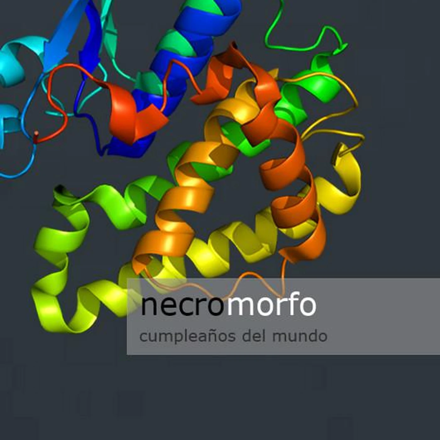 NecroMorfo Brand Page
