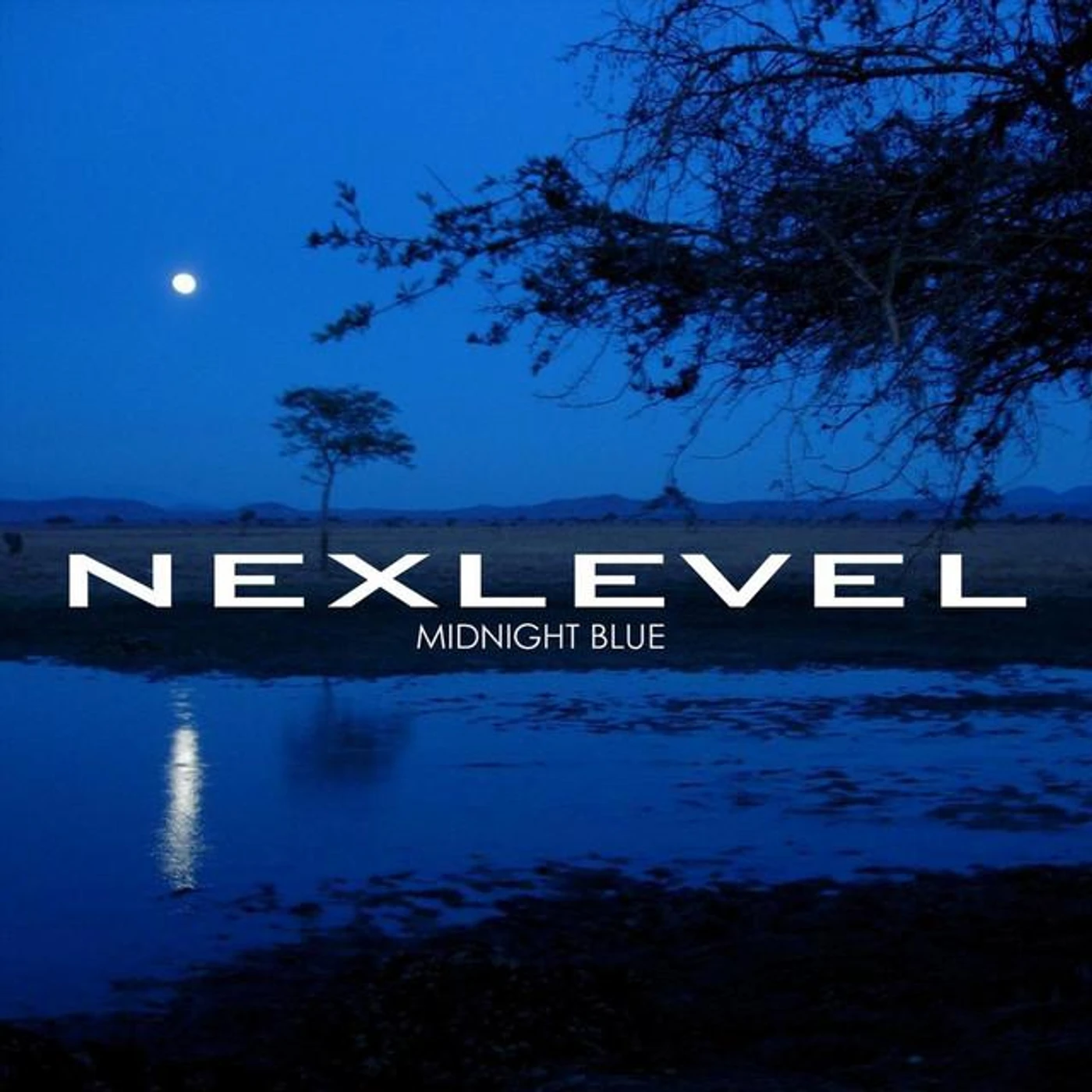 NexLevel Brand Page