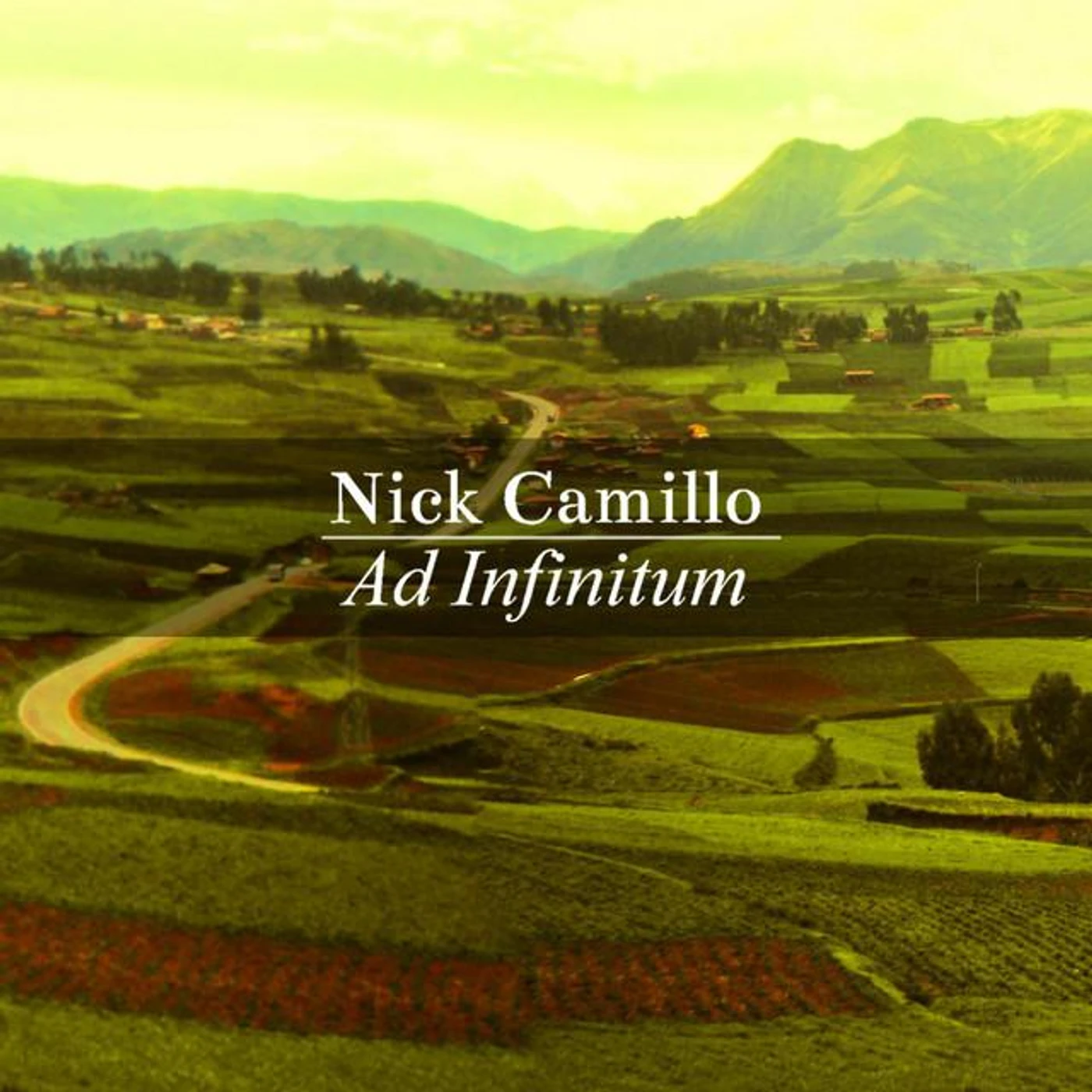 Nick Camillo